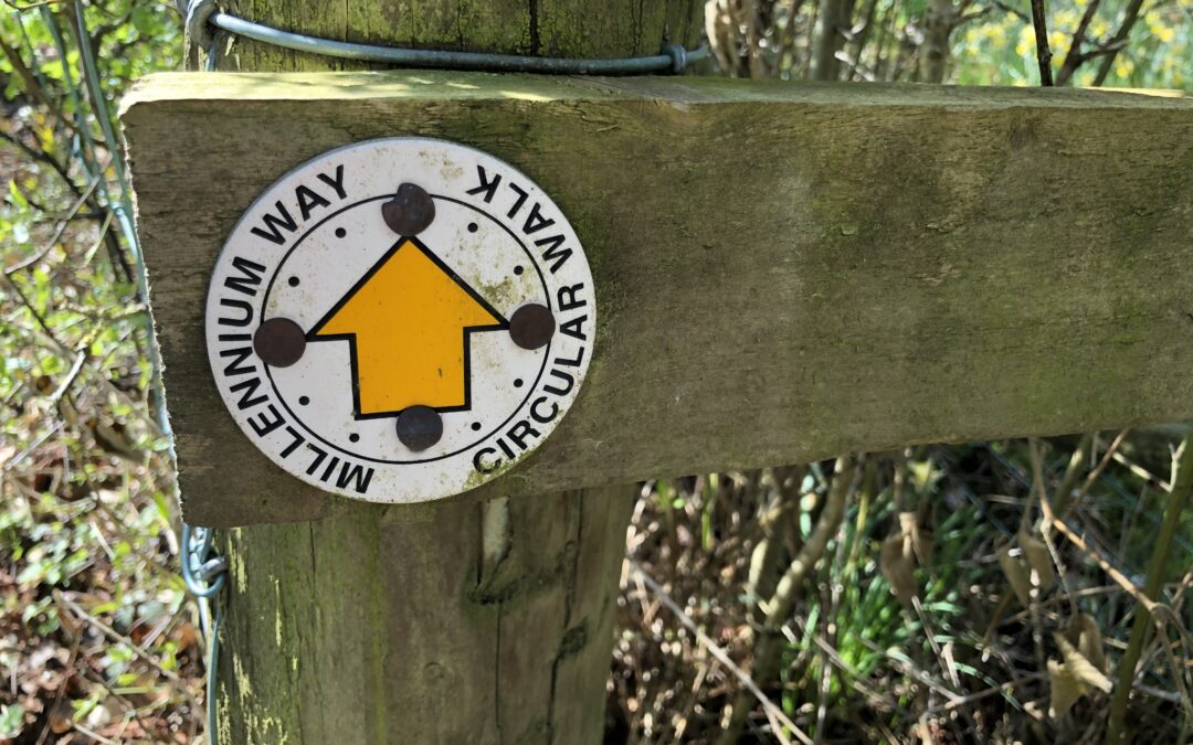 The Darwin Walk