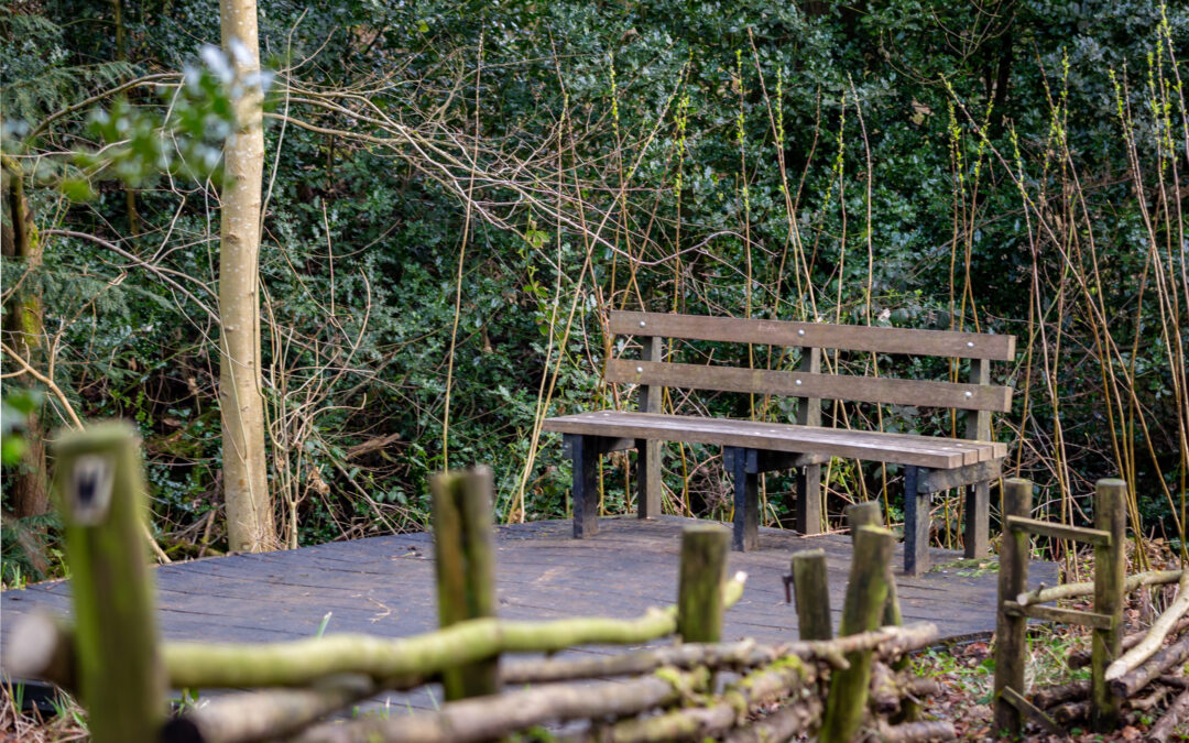 Contemplation Spots at Darwin Gardens