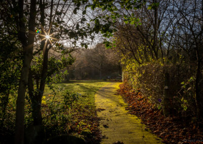 Winter Time at Darwin Gardens