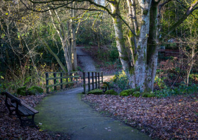 Winter Time at Darwin Gardens