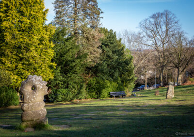 Winter Time at Darwin Gardens