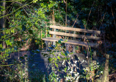 Winter Time at Darwin Gardens