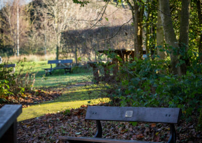 Winter Time at Darwin Gardens