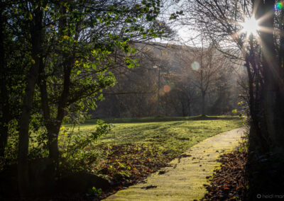 Winter Time at Darwin Gardens