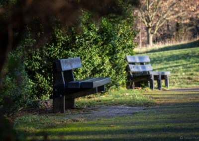 Winter Time at Darwin Gardens