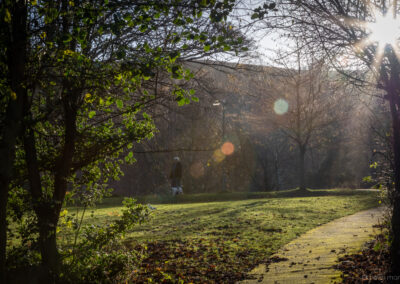 Winter Time at Darwin Gardens