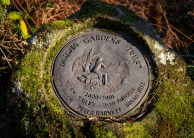 Winter Time at Darwin Gardens