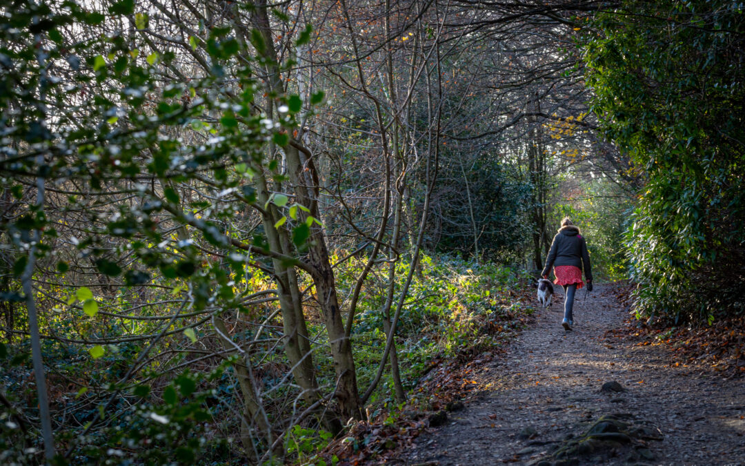Winter Time at Darwin Gardens