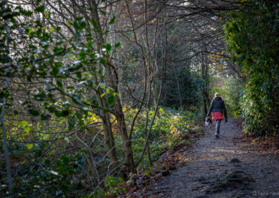 Winter Time at Darwin Gardens