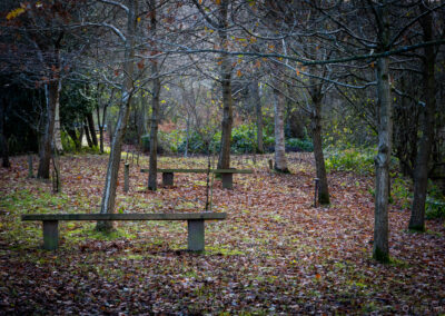 Winter Time at Darwin Gardens