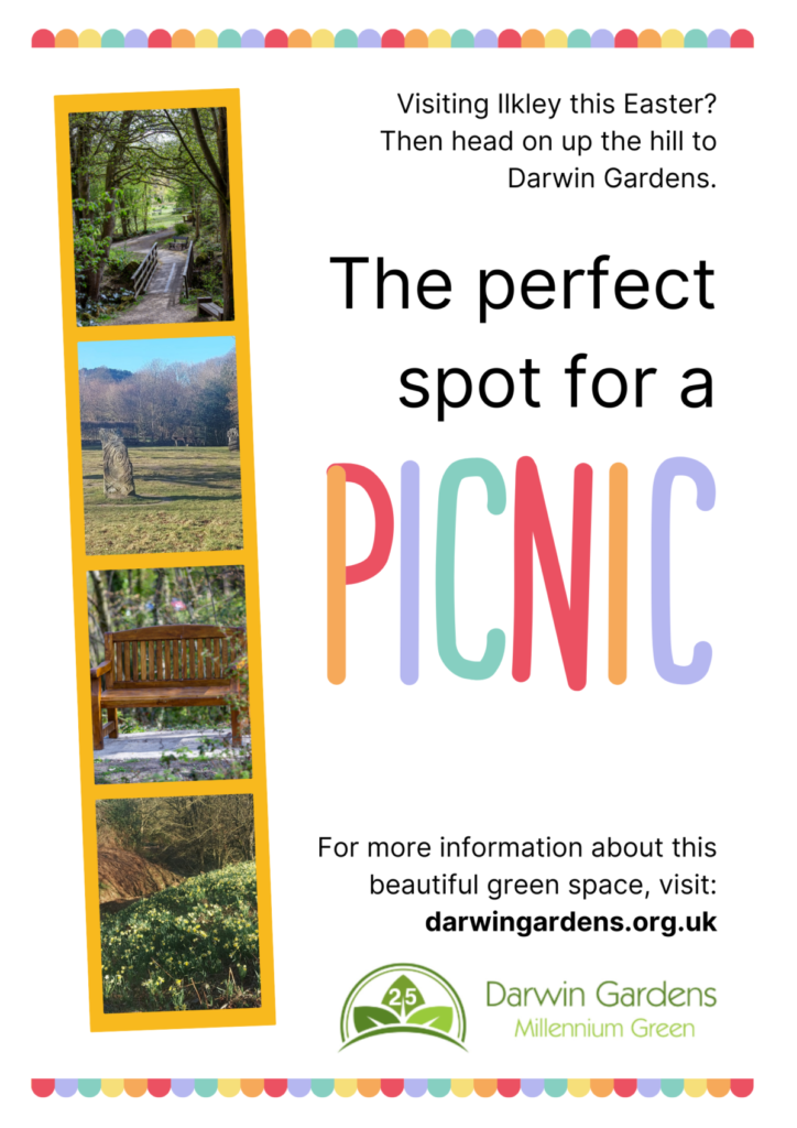 Picnic in Darwin Gardens
