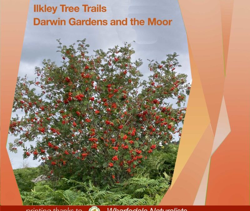 Darwin Gardens and Ilkley Moor Tree Trail